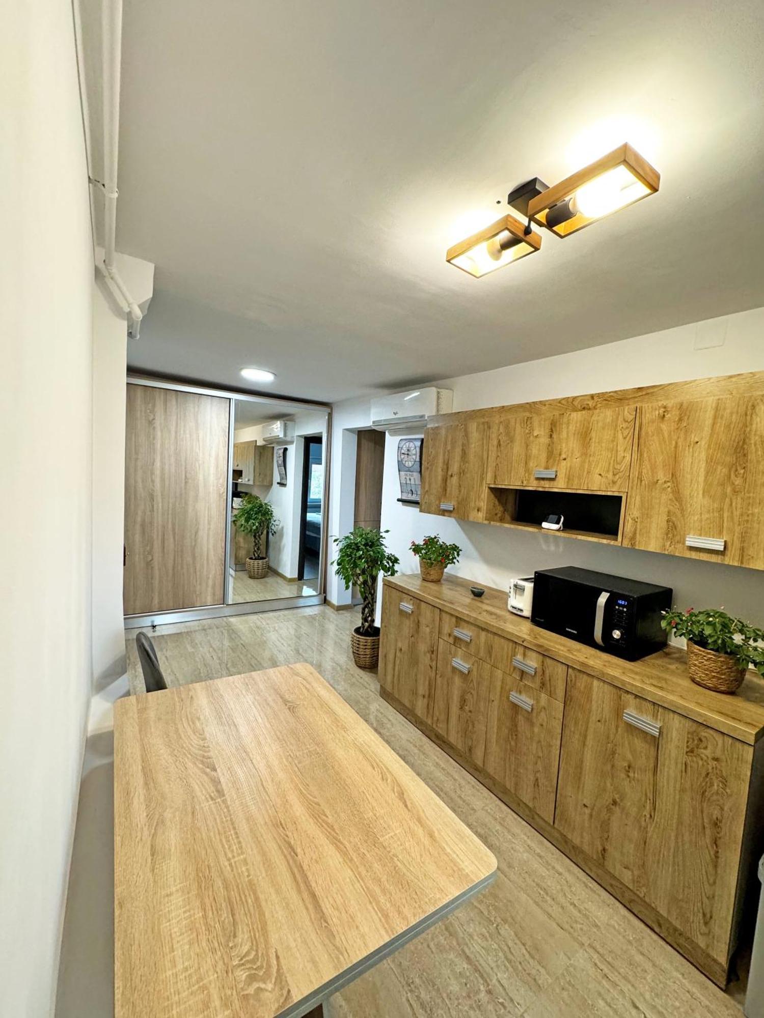 Ultracentral Apartment Târgu Jiu エクステリア 写真