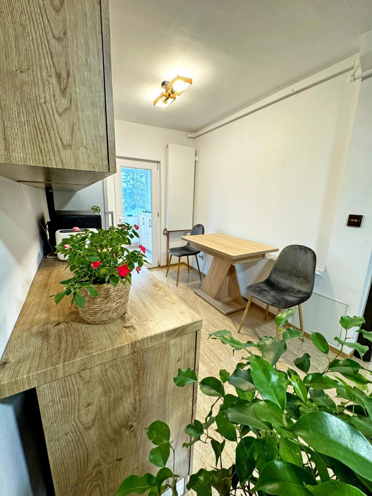 Ultracentral Apartment Târgu Jiu エクステリア 写真